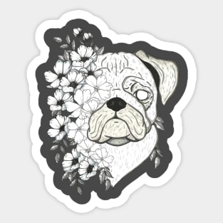 Dog  Dissolution Sticker